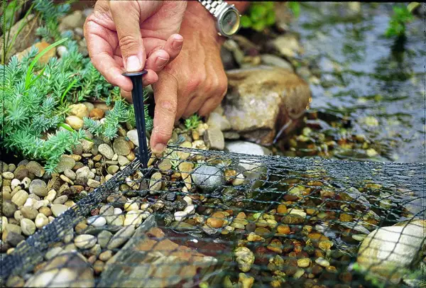 Main tenant fixe un filet sur des galets près de l'eau. Ce filet protège les poissons, ce que mange un héron, des prédateurs.