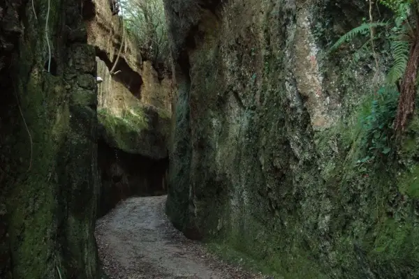Sentiero tra le rupi corchiano, con pareti rocciose ricoperte di muschio e vegetazione.