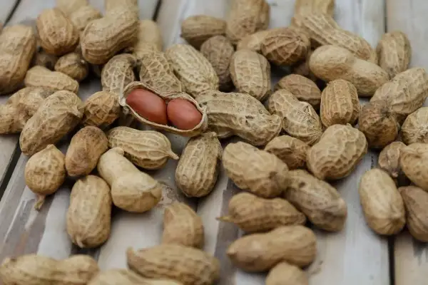 Un mucchio di arachidi, alcune aperte rivelano i loro chicchi rossastri. Un alimento salutare, utile anche per chi soffre di diabete.