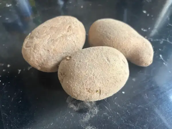 Trzy ziemniaki na czarnym tle. Czy ziemniaki mają gluten? Nie, są naturalnie bezglutenowe.