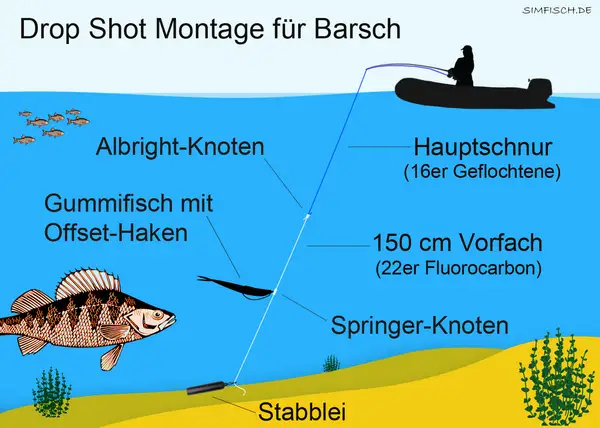 Drop-Shot-Montage für Barsch: Albright-Knoten, Gummifisch mit Offset-Haken, Hauptschnur, Vorfach, Springer-Knoten, Stabblei. Tolle Tipps für dein Havel Angeln!