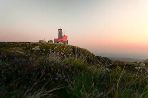 Szklarska Poręba jakie góry? Widok na schronisko i wieżę na szczycie górskim, otoczone kwitnącą wrzosową roślinnością.