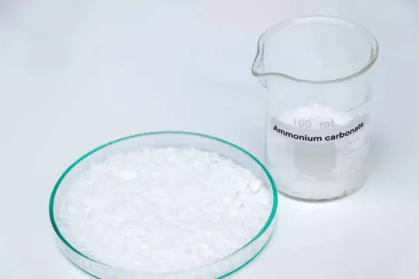 Plaque de Pétri remplie de carbonate d'ammonium blanc et un bécher gradué de 100 mL étiqueté "Ammonium carbonate".