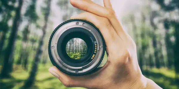 Une main tient un objectif de photographe, révélant une forêt verdoyante et ensoleillée à travers le verre.
