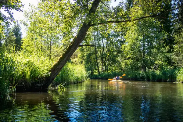 Spływ kajakiem po malowniczej rzece, otoczonej bujną zielenią. To zdecydowanie fajne miejsce na Mazurach, idealne na relaksujący dzień.