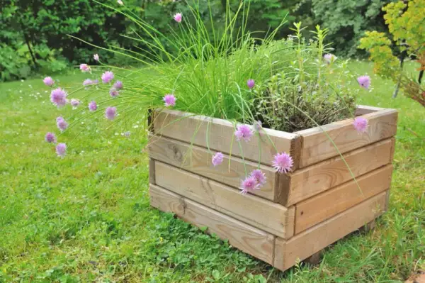 Jak zrobić kwietnik z drewna? Trwały DIY poradnik krok po kroku