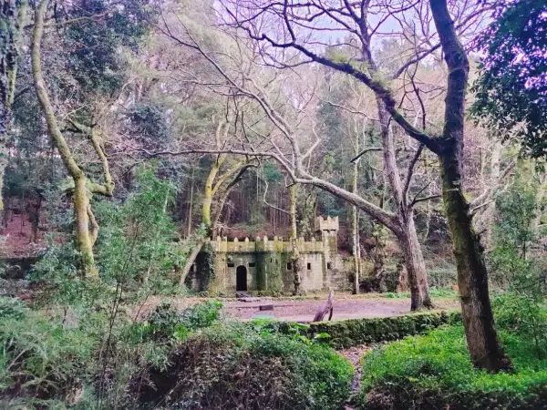Un castillo de piedra cubierto de musgo se alza en el **bosque encantado de Aldán**, rodeado de árboles frondosos y vegetación exuberante.