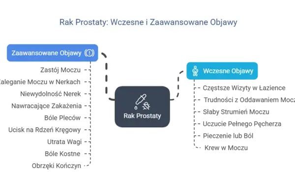 Rak prostaty: objawy, czynniki ryzyka i diagnostyka. Jak rozpoznać?