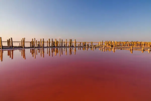 En dagsutflykt från Torrevieja till en rosa sjö med gamla träpålar som speglas i det färgade vattnet.
