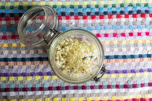 Ein Glas voller Holunderblüten, bereit für ein köstliches Holundergelee Rezept.