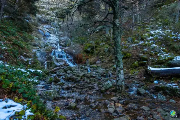 Cascada en el **puerto de Canencia**, con nieve y rocas cubriendo el cauce. Un árbol solitario vigila el paisaje.