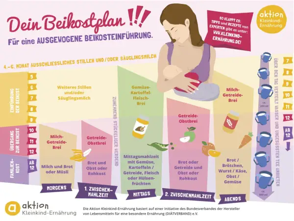Dein Beikostplan zeigt, wie Babys ab dem 4.-6. Monat schrittweise an feste Nahrung gewöhnt werden.