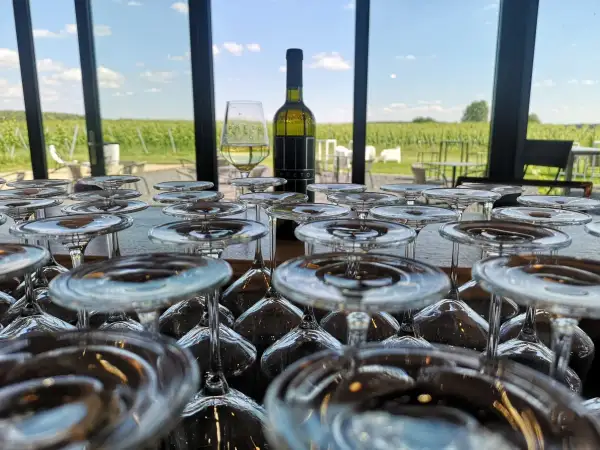 Szklanki czekają na degustację w winnicy Preto. W tle rozciągają się zielone winorośle pod błękitnym niebem.