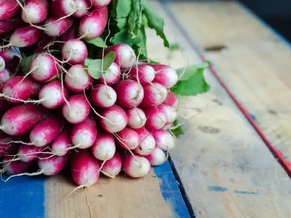 Pęczek świeżych rzodkiewek na drewnianym stole. Niska rzodkiewka kcal, idealna do zdrowej diety.
