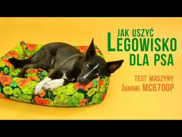Wygodne legowisko dla psa bez szycia? 4 proste metody DIY!
