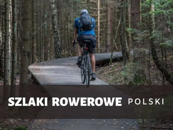 Rowerzysta przemierza drewniany szlak w lesie. Odkryj malownicze **trasy rowerowe Polska** i poczuj wolność na dwóch kółkach.