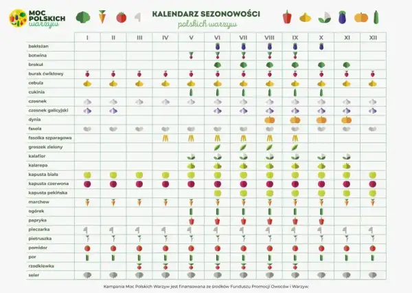Kalendarz ogrodnika: co kiedy sadzić. Tabela pokazuje sezonowość polskich warzyw przez cały rok, od bakłażana po selera.