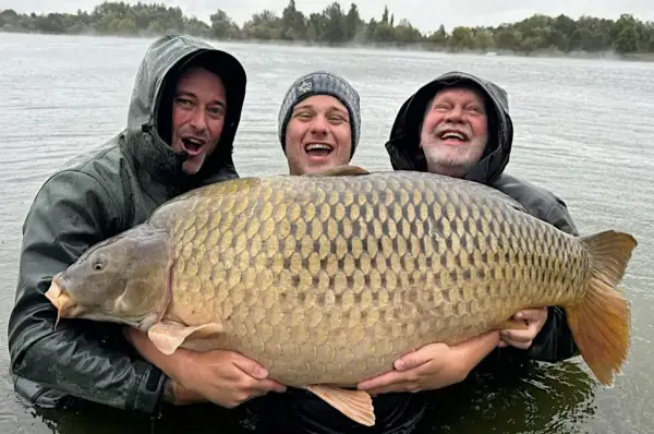 Trzech wędkarzy z dumą prezentuje gigantycznego karpia, prawdopodobnie nowy rekord. Ryba jest ogromna, a jej łuski lśnią w wodzie.