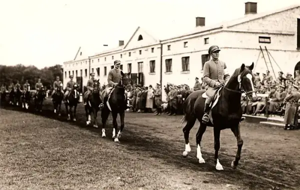 Stadnina Koni Białka - historia, hodowla i wyjątkowe wydarzenia