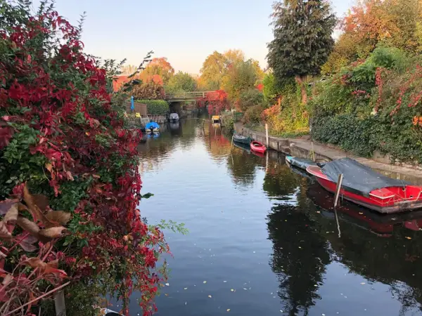 Herbstliche Idylle am Kanal in Berlin, fast wie neu Venedig. Boote liegen vertäut, rote Weinblätter schmücken das Ufer.