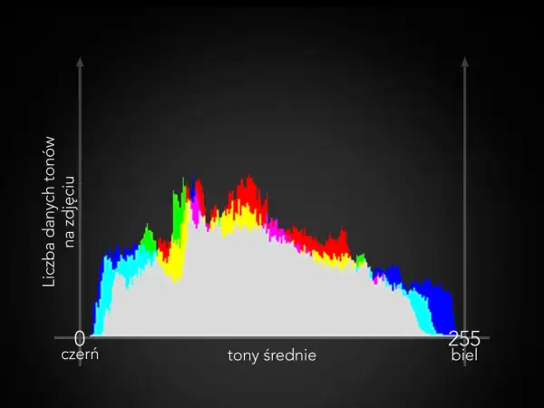 Histogram co to? Wykres pokazuje rozkład jasności tonów na zdjęciu, od czerni (0) do bieli (255).