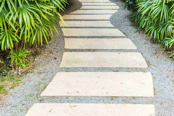 Viale carrabile in cemento serpeggia tra piante verdi lussureggianti, creando un percorso invitante.