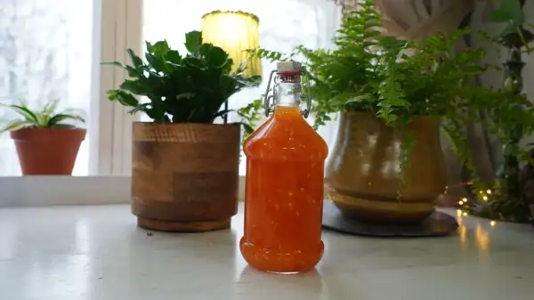 En flaska med hemgjord sweet chili sås står på en vit yta, omgiven av gröna växter och en gul lampa.