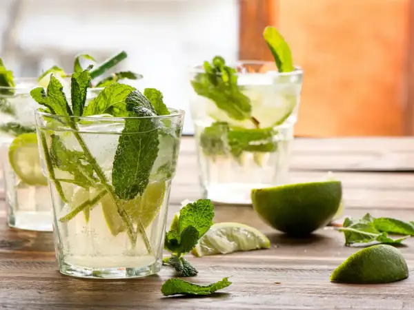 Verre de mojito frais avec menthe, citron vert et glaçons. Parfait pour une recette mojito rafraîchissante.