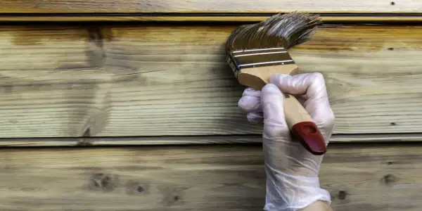 Application d'une lasure sur un bardage en bois, montrant la différence entre lasure et peinture. La lasure pénètre le bois, la peinture le recouvre.