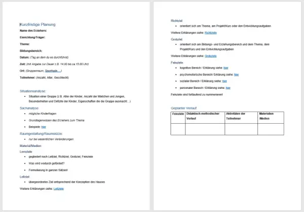Vorlage für die projektplanung kindergarten mit Feldern für Ziele, Analyse und geplanten Verlauf.