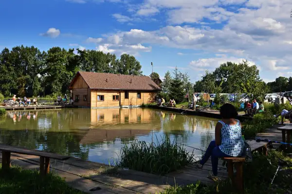 Ludzie łowią ryby na drewnianych pomostach przy drewnianym domku. To popularne łowiska komercyjne na Dolnym Śląsku.