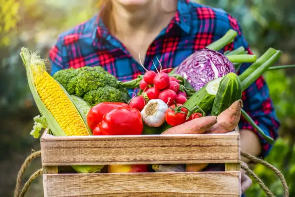 Cesto di verdure di stagione aprile: mais, broccoli, pomodori, aglio, ravanelli, cavolo rosso, cetrioli e patate dolci.