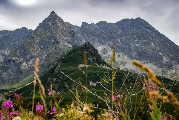 Gdzie najlepiej jechać w góry? Odkryj ukryte skarby Polski