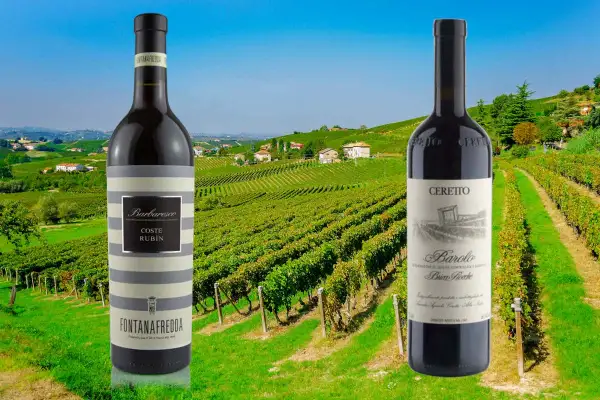 Due bottiglie di vini piemontesi famosi, Barbaresco e Barolo, in primo piano con un paesaggio di vigneti sullo sfondo.