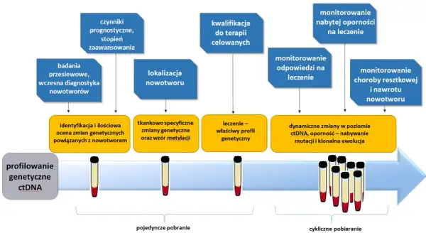 Schemat przedstawia etapy diagnostyki i monitorowania nowotworów, w tym klasyfikację TNM, profilowanie ctDNA i analizę zmian genetycznych.