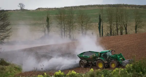 Jakie wapno na dofinansowanie? Sprawdź, aby uniknąć błędów w wyborze