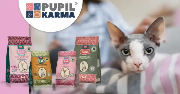 Najlepsza Sucha Karma dla Kota w 2026: Karmy z Najlepszym Składem