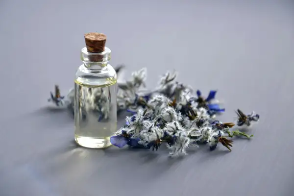 Dlaczego perfumy marki V Canto są jak zapachowe dzieła sztuki?