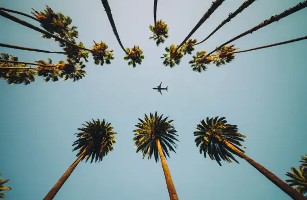 Ile trwa lot z Warszawy do Miami? Sprawdź czas lotu i szczegóły