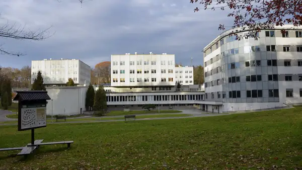 Jak długo trwa rehabilitacja w Reptach? Czas trwania i czynniki wpływające