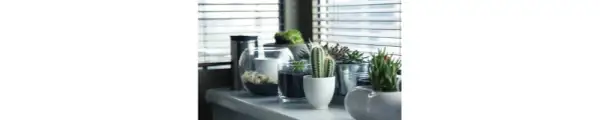 Maceta carita: alegra tu hogar con estas macetas divertidas y únicas