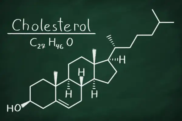 Podwyższony poziom cholesterolu całkowitego – przyczyny, skutki i jak go obniżyć