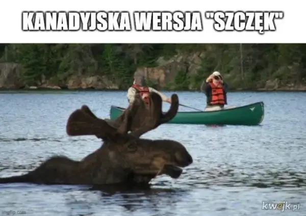 Pustka: Kanadyjski horror, który przeraża i fascynuje widzów