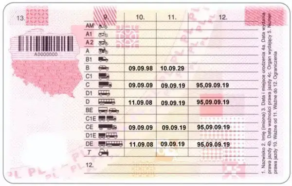 Kto wydaje świadectwo kwalifikacji kierowcy? Poznaj ważne informacje