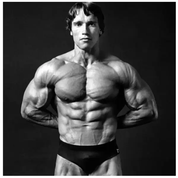 Gdzie urodził się Arnold Schwarzenegger? Poznaj jego korzenie