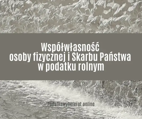 Czy skarb państwa jest osobą prawną? Zrozum jego prawa i obowiązki