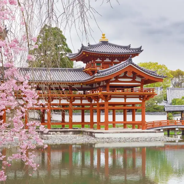 Kiedy jechać do Japonii? Najlepsze pory roku i atrakcje