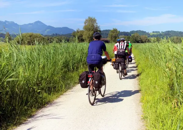 Grupa rowerzystów wyrusza na kilkudniowe wycieczki rowerowe, jadąc szutrową ścieżką wśród wysokich traw, z górami w tle.