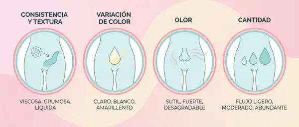 Ilustración de los tipos de flujo vaginal: consistencia, color, olor y cantidad. Se describen las variaciones normales y las que podrían indicar un problema.