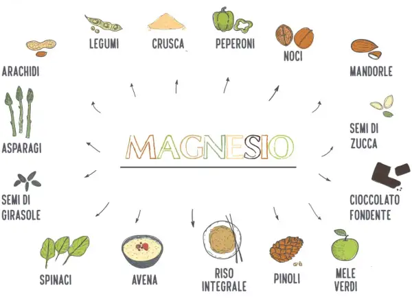 Fonti di magnesio: arachidi, legumi, crusca, peperoni, noci, mandorle, asparagi, semi di girasole, semi di zucca, cioccolato fondente, spinaci, avena, riso integrale, pinoli, mele verdi.